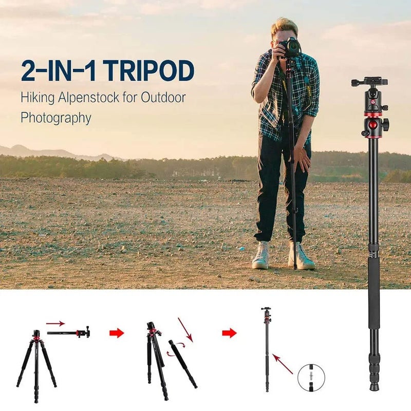 ZOMEi 75'' Tripod,Camera Tripod for DSLR,Ball Head Tripod Professional Tripods 4 Section Horizontal Tripod with 360 Degree Ball Head Plate for Canon DSLR DV Scope Camcorder and Projector - Image 3